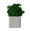 3D 모델 식물